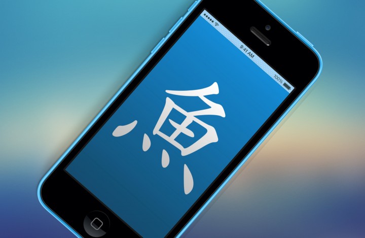 鱼词典.jpg